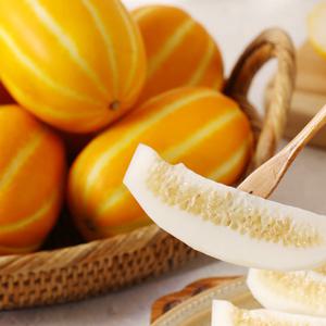 [성주참외원예농협] 참외풍경 성주참외 2kg(5-8과)