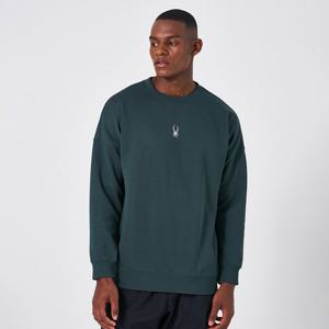 [스파이더] 남성 멀티 컬러 로고 맨투맨 SPKPCNRL302MDGN