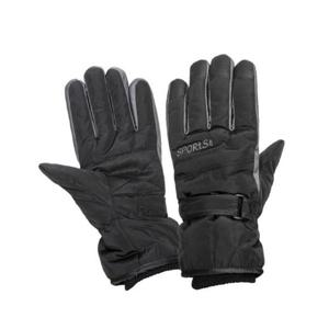 데일리패션 BM_DSD-4 방한 스키장갑XL