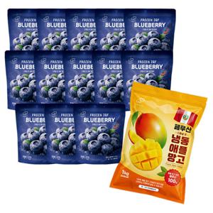 스페셜유 미국 A등급 프리미엄 냉동 블루베리 13팩+애플망고 1팩