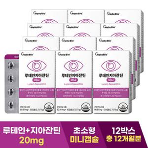 [총 12개월분] 루테인 지아잔틴 미니 30캡슐 12박스