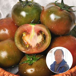 [푸르젠 흑토마토] 산지직송 달콤아삭 흑토마토 4kg