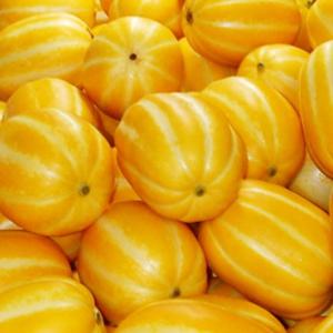 [산지직송] 제철과일 성주 참외 (특)5kg(11-15과)