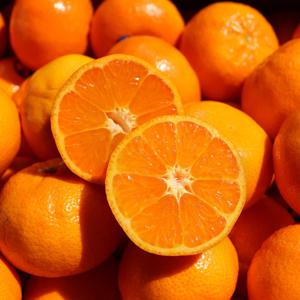 [과일꾼] 캘리포니아 고당도 만다린 감귤 3kg