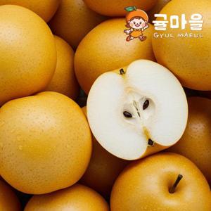 귤마을 나주 신고배 정품 10개 (개당 420-600g 대특과)