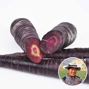 충남 서산 나영길님의 자색당근 3kg(비품)