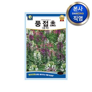 풍접초 혼색 씨앗 0.5g(200립) . 족두리꽃 백화채 클레오메 관상 꽃씨 종자.
