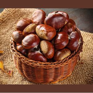 [농가애]고맛나루 밤(생율) 2kg