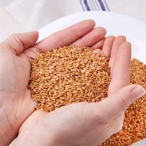 [맛딜]첨가물 없는 고소한 캐나다산 볶은 아마씨 500g(무료배송)