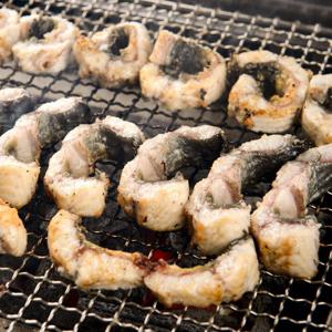 통영 바다장어 2kg(4~9미) 자연산 국산 손질장어