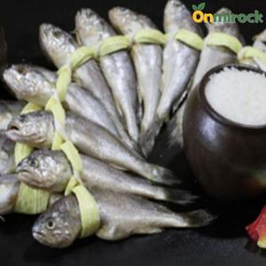 온미락 영광 법성포 참굴비 20미 소 18cm내외 1.6kg 국내산 참조기 선물용 가정용