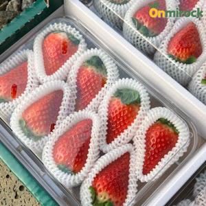 온미락 논산 킹스베리 킹스베리 특 1kg(28개입내외) 제철 생딸기 고당도 딸기 선물