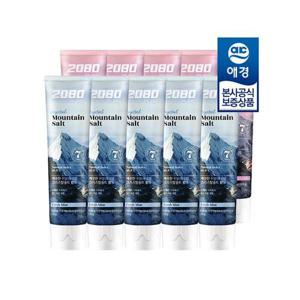 [2080]2080 퓨어 솔트 치약 120g x10개