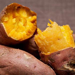 햇 호박 고구마 10kg 대