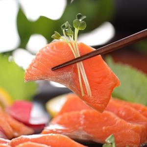 [오션킹]프리미엄 연어회 250g4팩+해동지 4장