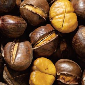 칼집 약단밤 먹기편한 구이용 알밤 맛밤 군밤 햇밤 3kg