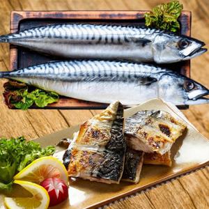 [후레쉬] 노르웨이산 자반고등어 /1손(2미) / 대 / 800g 내외 / 아이스박스포장