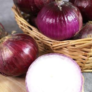 갤러리아_[더조은] 무안 자색양파 10kg (특대)