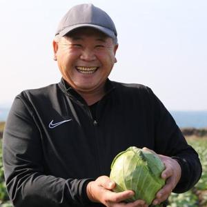 제주도 햇 미니양배추 5kg