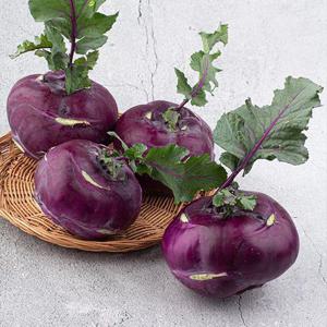 제주직송 정품 콜라비 5kg