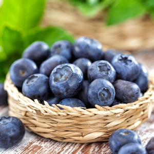 칠레산 생 블루베리(18mm 이상) 125g x 4팩 생과
