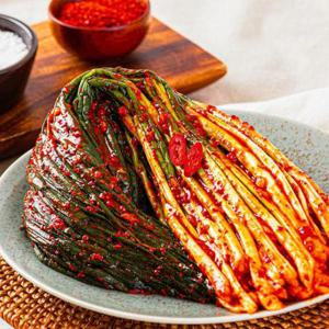 [전라도할매] 국내산 원재료 프리미엄 파김치 3kg