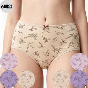 [제임스딘]좋은사람들 여성 면스판 60수 맥시 삼각 팬티 6매입 세트 엄마 선물