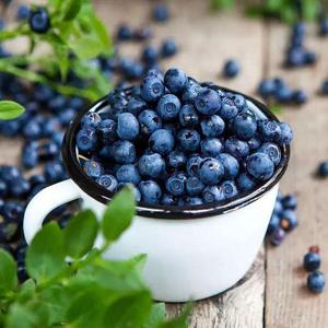 미국산 냉동 블루베리 700g (350gx2개) 미국산 블루베리 생과 프로즌블루베