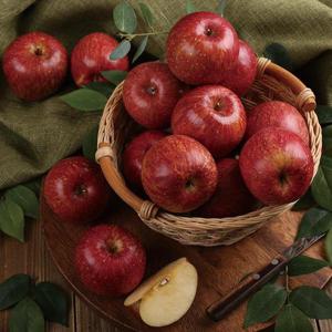 [열매나무] 당도선별 정품 부사 사과 5kg 20-24과) 중소과