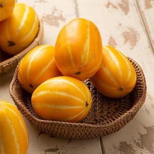 꿀맛남 가정용 성주 참외 2kg (랜덤과)