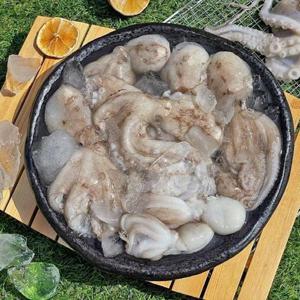 VDD 급냉 초특대 알쭈꾸미 2kg x 1세트