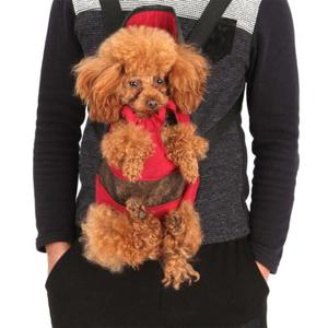 에코벨 애견 펫 앞가방 대형/슬링백 이동장 트론트백 포대기