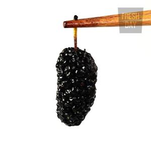 [프레시데이] 고창 오디 냉동 생과 프리미엄 특품 2kg