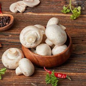 [기타]늘바른 국내산 친환경 무농약 양송이버섯150g