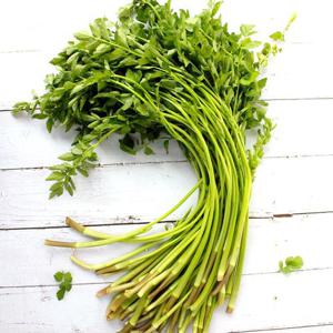 청도 미나리 세척미나리 특품 4단(800g)