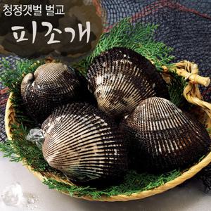 보성 벌교여자만 피꼬막 2kg (특품)/산지직송