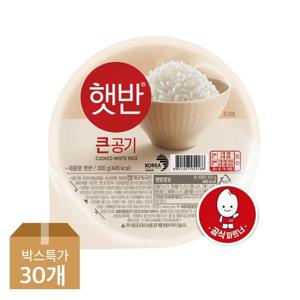 갤러리아_[CJ]햇반 큰공기 300g X 30개