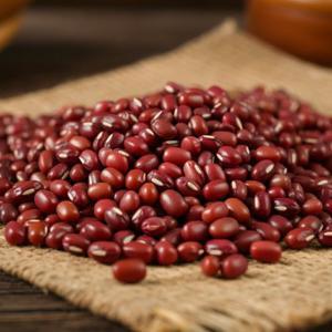 국산 적두 1kg 햇팥 25년산 동지팥죽 빨간팥[단의잡곡]