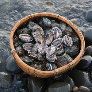 청정해역 완도산! 싱싱하고 쫄깃한 전복선물세트