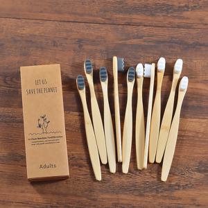 10 Pcs 울트라 파인 부드러운 머리 친환경 여행 칫솔 부드러운 섬유 나노 수동 칫솔 비건 치아 구강 위생 관리 도구