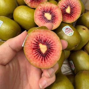 달콤한 속이 빨간 레드키위 10과20과