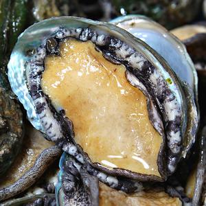 프리미엄 활전복 완도산 산소포장 1kg