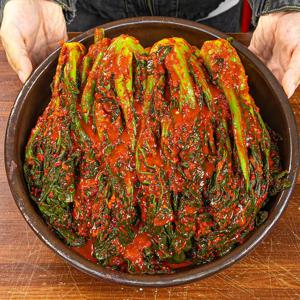 대통령상 수상 전라도식 비법양념 여수 돌산 갓김치