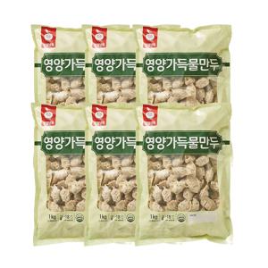 천일냉동 영양가득물만두 1kg 6개