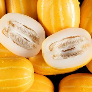 성주 산지직송 가정용 꿀참외2kg 중과 5-7과  (실중량)