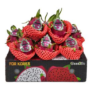 베트남 열대과일 용과 2.5kg