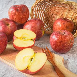 [더조은] 알뜰 꿀사과 부사사과 2kg 흠과 14-16과