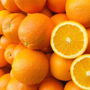 [코인할인10%][마진없습니다] 미국 블루라벨 오렌지 17kg 88과