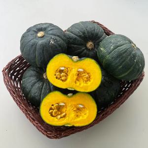 국내산 미니 밤호박 (보우짱) 2/3/5kg