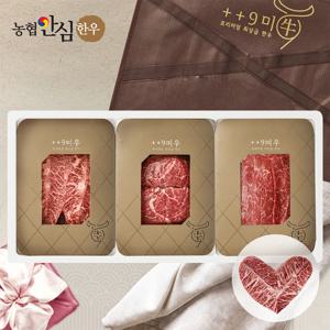 [구미우] 1++No.9 최고 등급 담다 한우 선물세트 2호 하트부채살+국거리+불고기/각300g/총900g